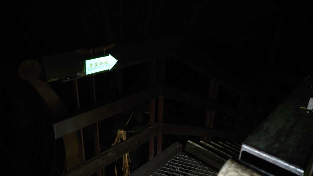 虎山赏萤路线沿线设置自导式指引(夜间萤光)