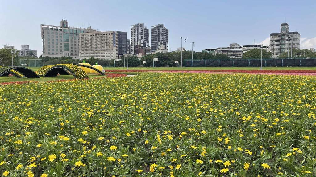 北市中正河滨8万株童趣花海盛放