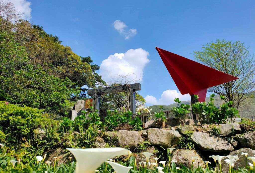 2021竹子湖カラー祭り ロマンチックな地景芸術