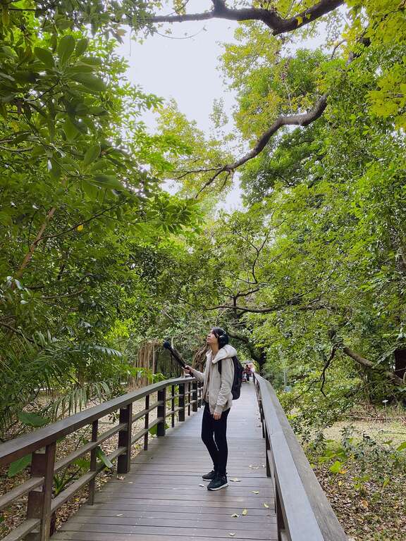 台北城中的植物園有著蟲鳴鳥叫等豐富的自然界聲響。（圖／蕭芸安）
