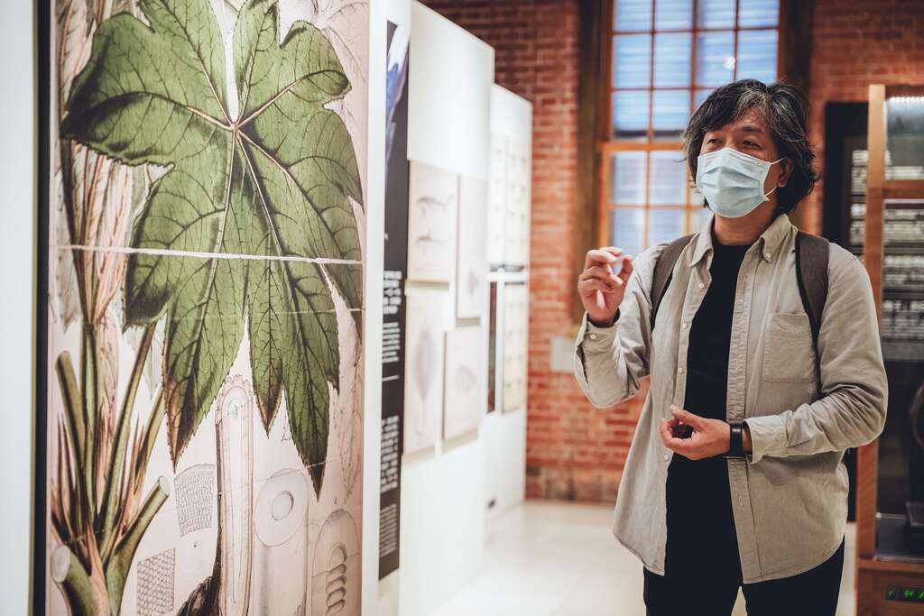 胡哲明策畫的「繪自然⸺博物畫裡的臺灣」特展提供民眾認識科學繪圖的機會。
