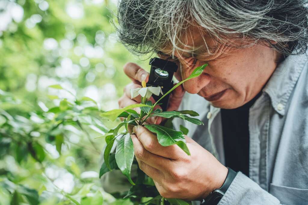科学绘图至今依旧是科学研究的重要工具之一，能够帮助研究人员深入理解物种。（摄影／张晋瑞）-1
