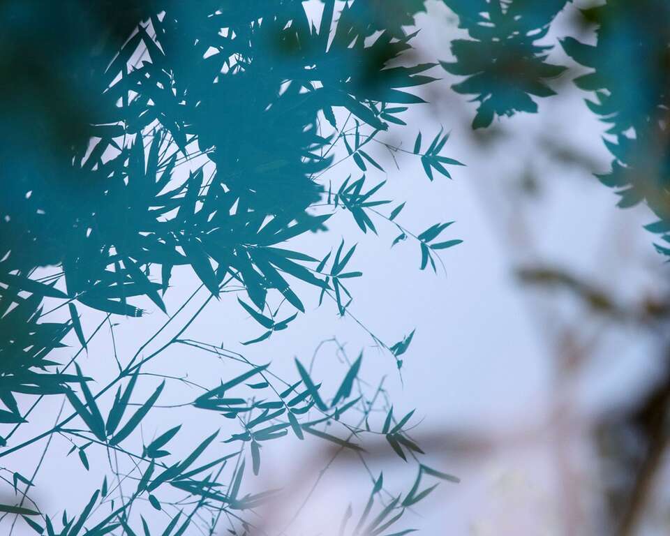 花博公园新生园区