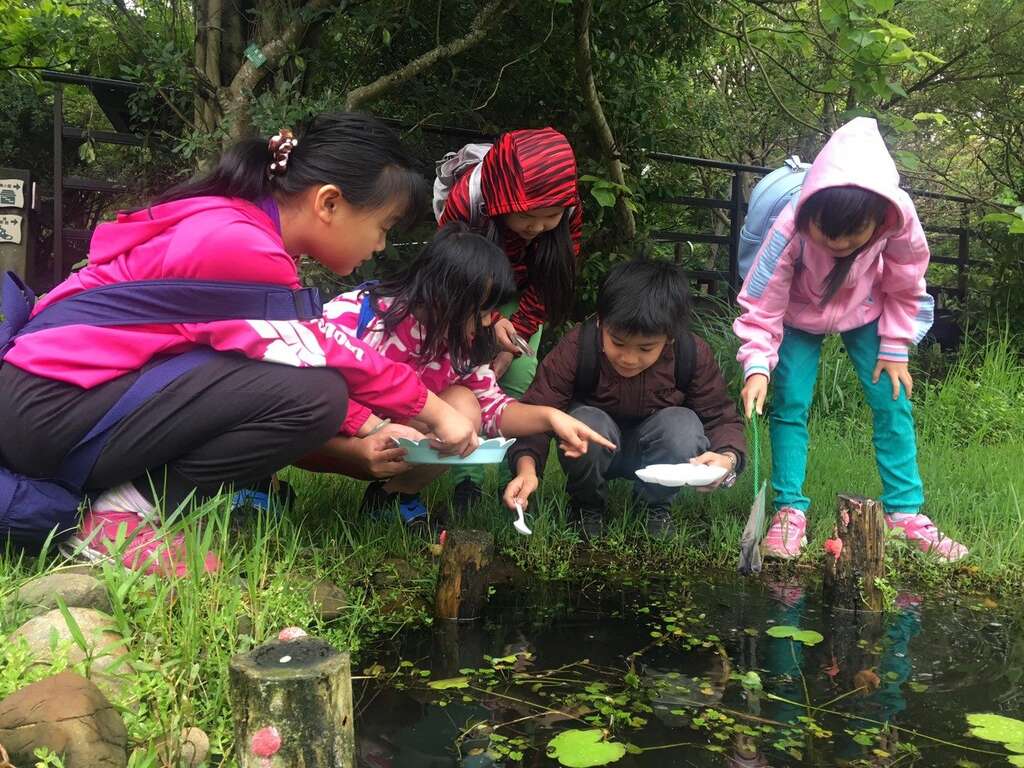 小学生於关渡自然公园户外教学