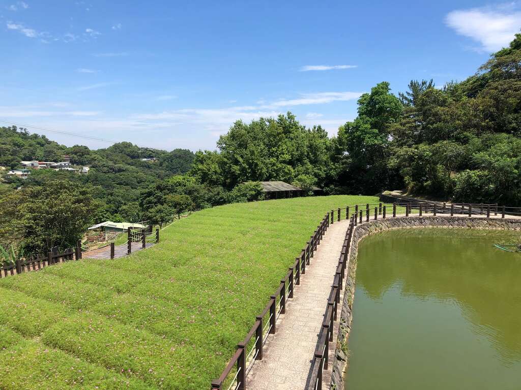 樟树步道-远景