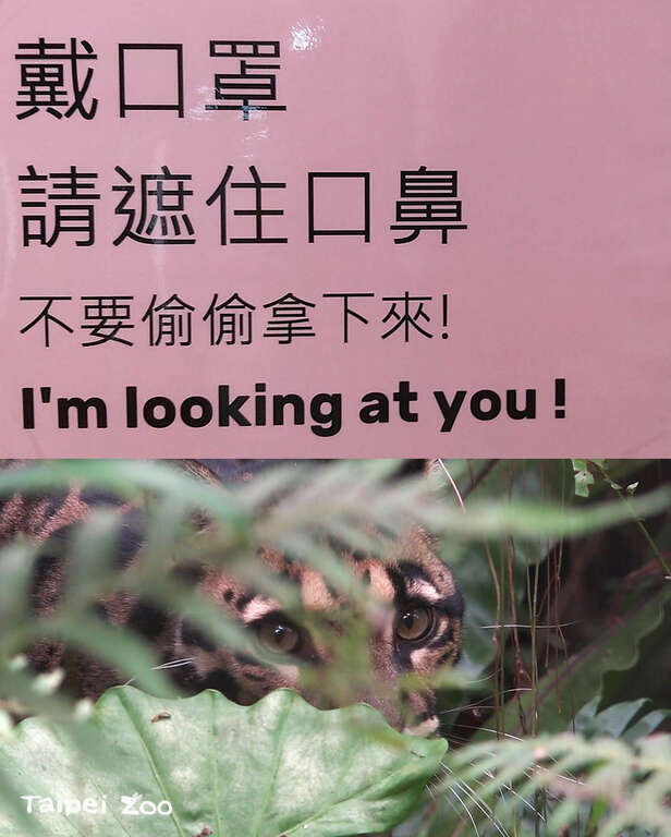 戴口罩请遮住口鼻，不要偷偷拿下来！I am looking at you !