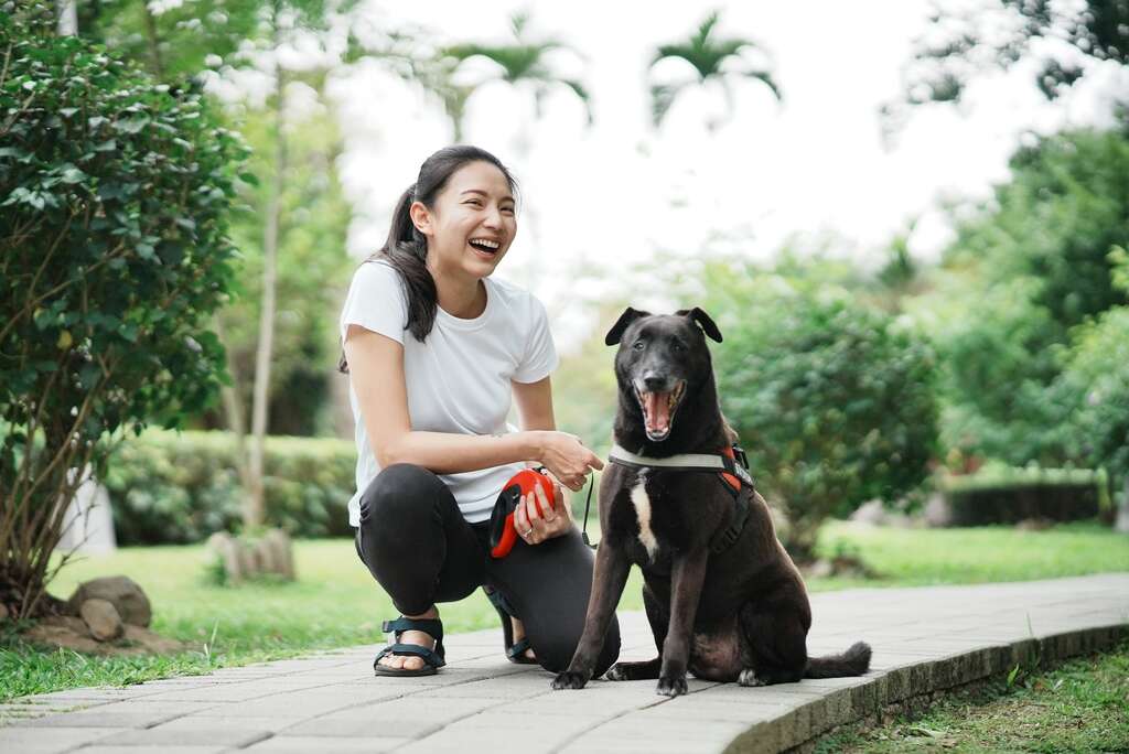 在都市生活的飼主普遍繁忙，寵物照顧服務協助分擔定時遛狗、餵食的照護需求。（圖／毛小愛）