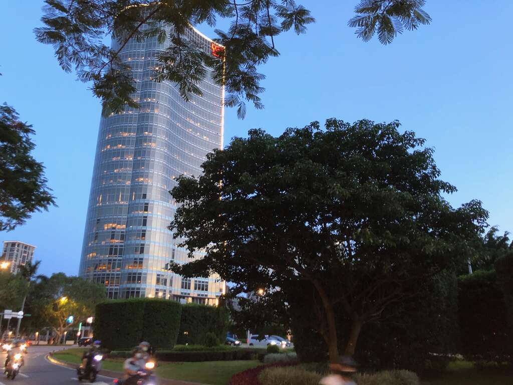 仁愛圓環中，有4棵珍貴的樹木-加羅林魚木，它們正是大有名氣的台電魚木的後代唷！