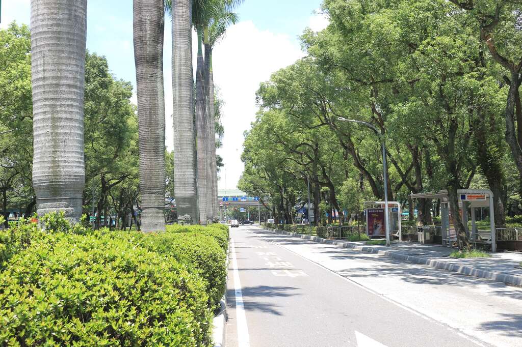 仁爱路在台北市交通扮演着举足轻重的角色，为台北市东西向重要干道之一，路中央布设公共汽車专用道