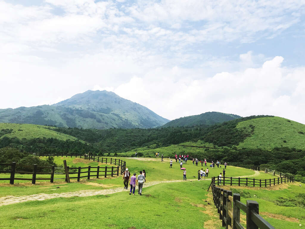 saito-2