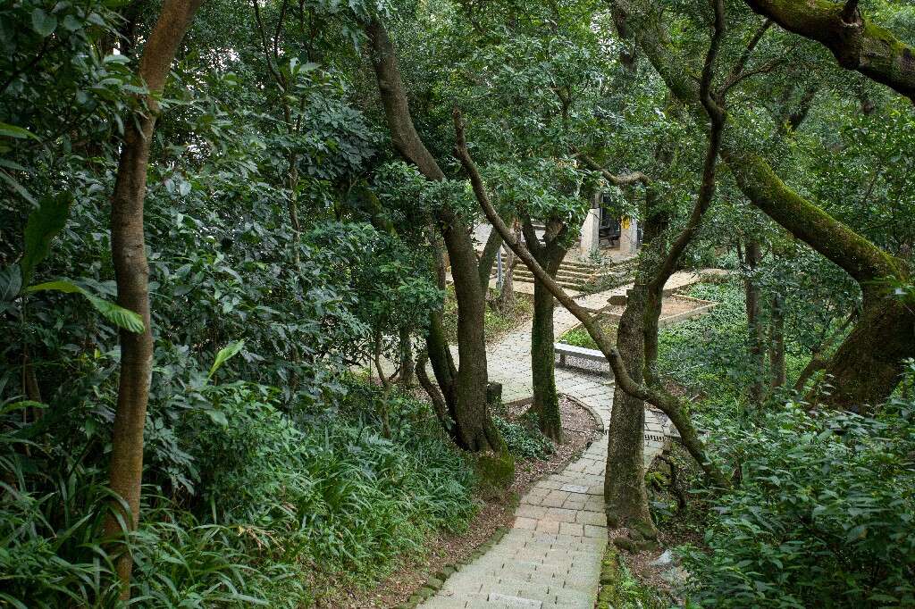 象山2~1