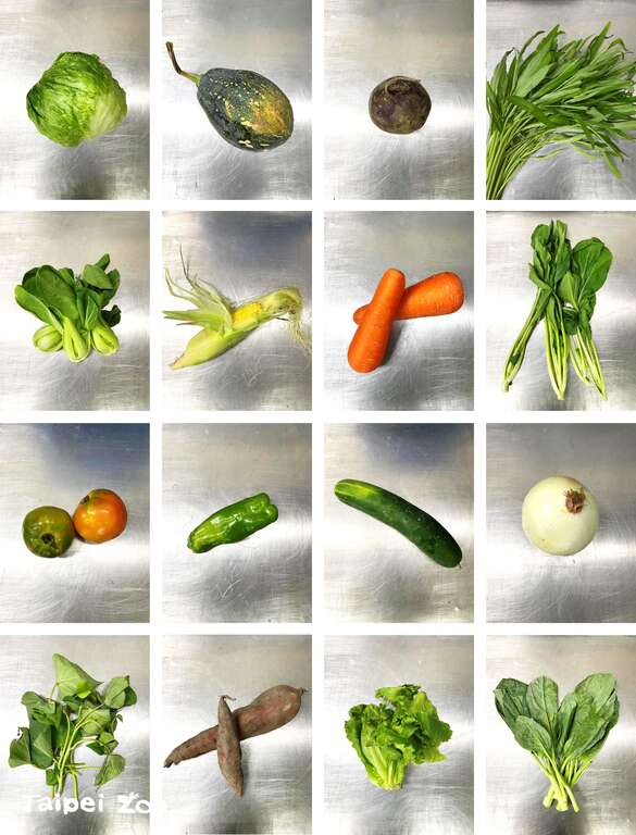 巨猿食谱的内容大致上可分为四大部分：蔬菜、水果、植栽及乾饲料（王建博提供）