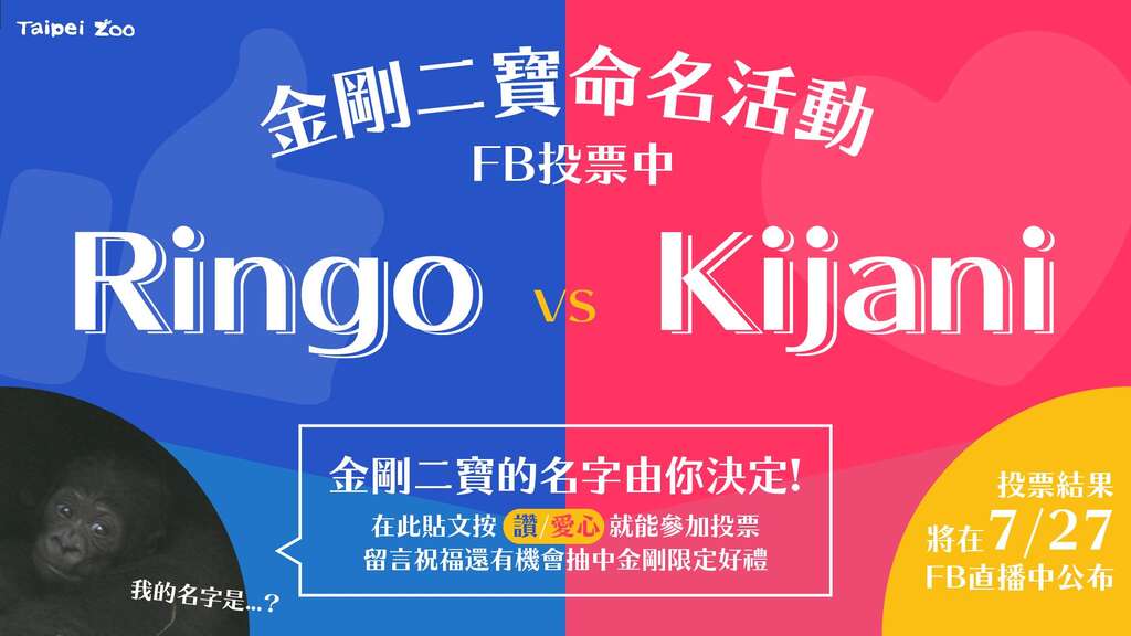 金剛二寶命名活動,FB投票中
