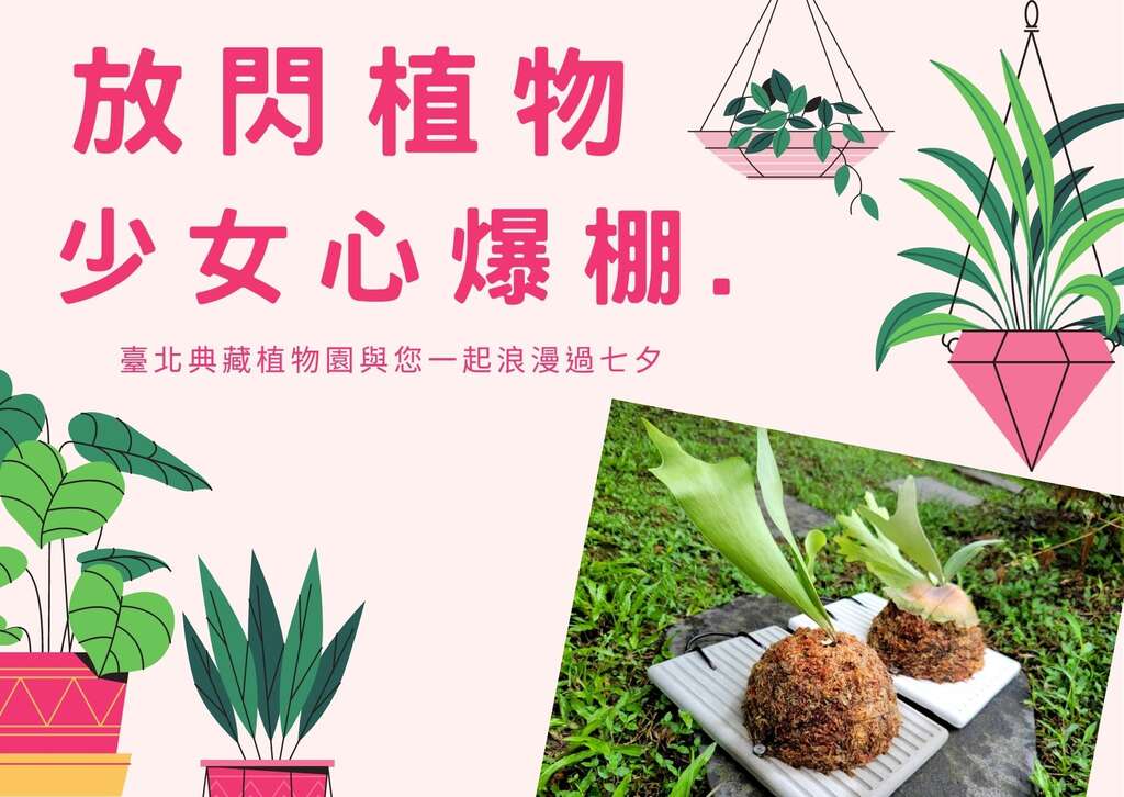 活动小海报