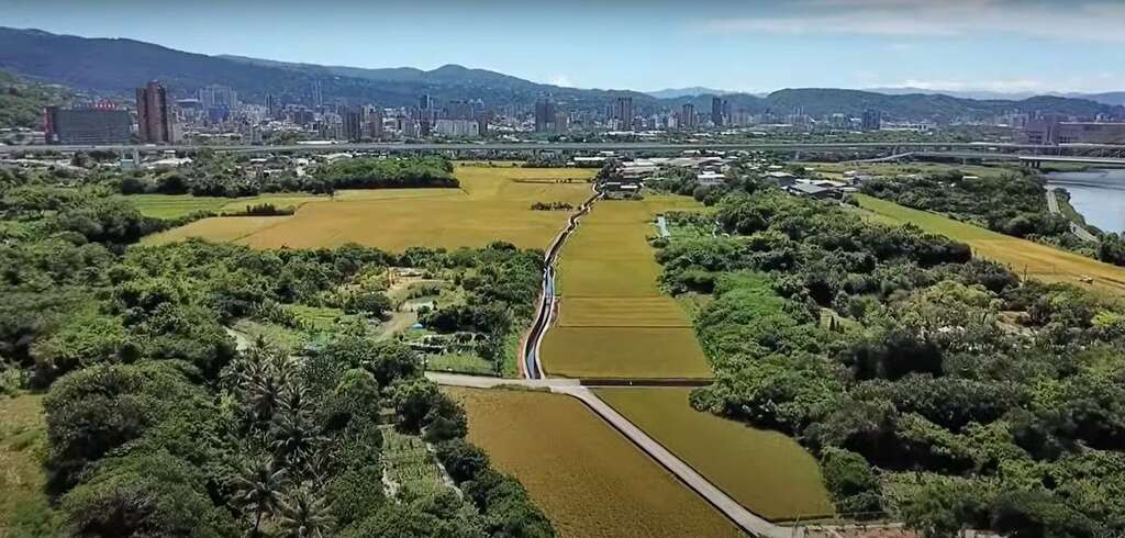 貴子坑溪流過關渡花海區域