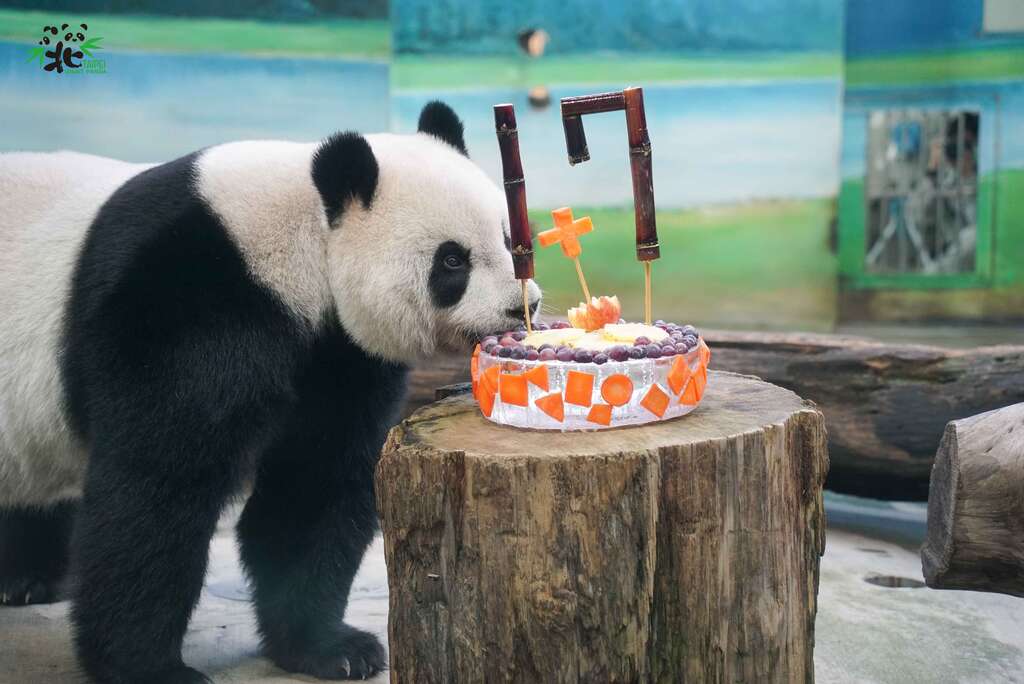 圆仔:嘿嘿!这蛋糕的数字语带双关哦!保育员们太有才了!