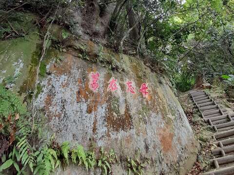 步道旁可見過去駐軍留下的「毋忘在莒」刻字和岩石頂上的大樹景觀