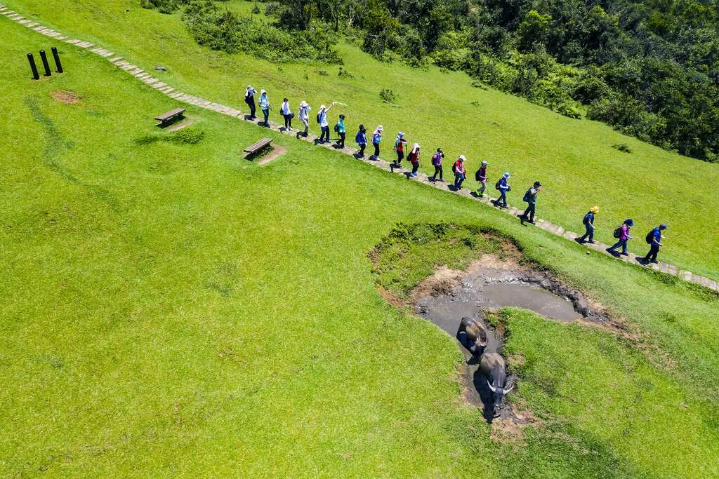22-台北大纵走-佳作12-萧庆良-大家一起来做伴-2019070711-石梯岭步道