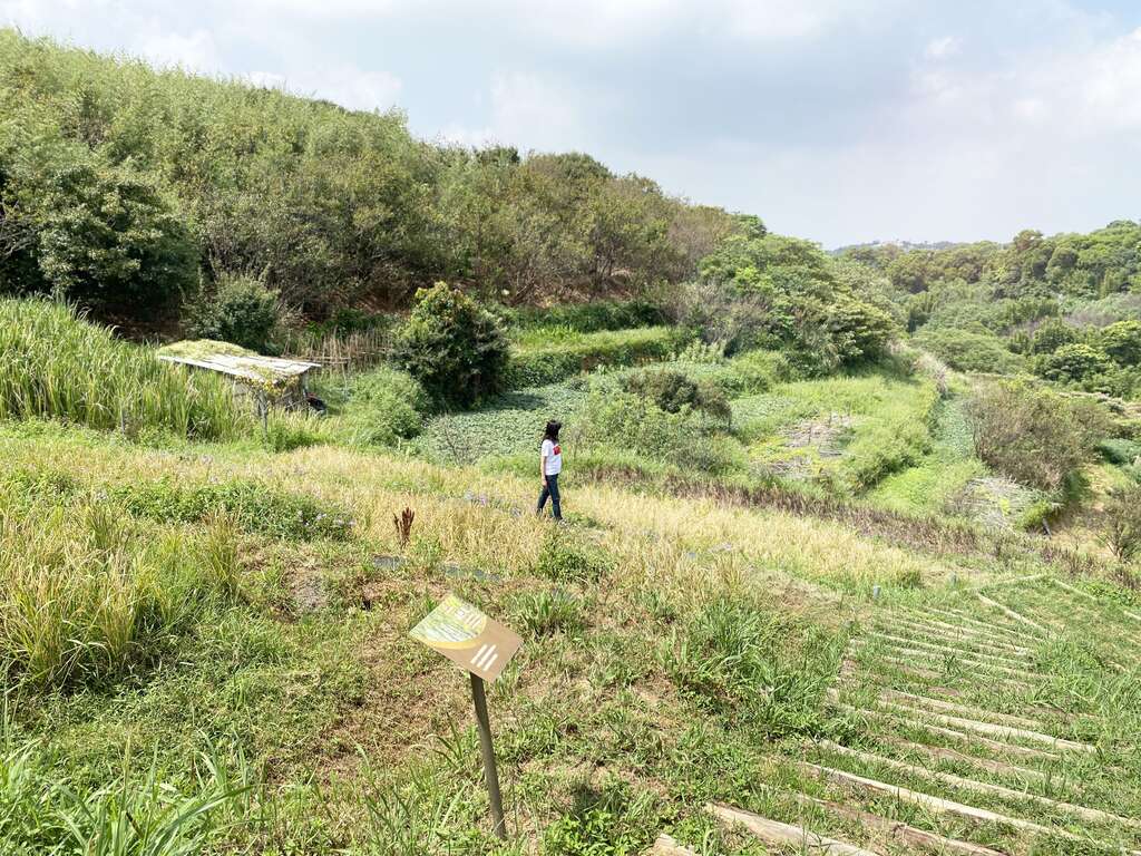 漫步於梯田間，感受最原始的自然風光