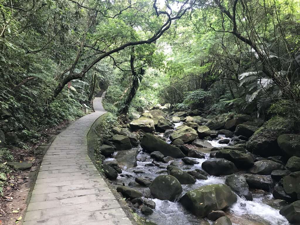 大沟溪上游保留自然溪谷溪床上可见大小石头十分自然