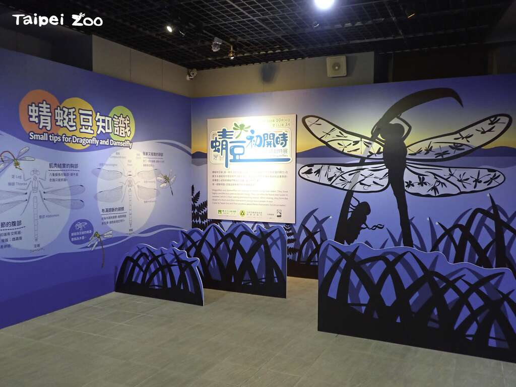 台北市立动物园在10月30日（六）於昆虫馆推出「蜻豆初开时—台北动物园蜻蜓特展」
