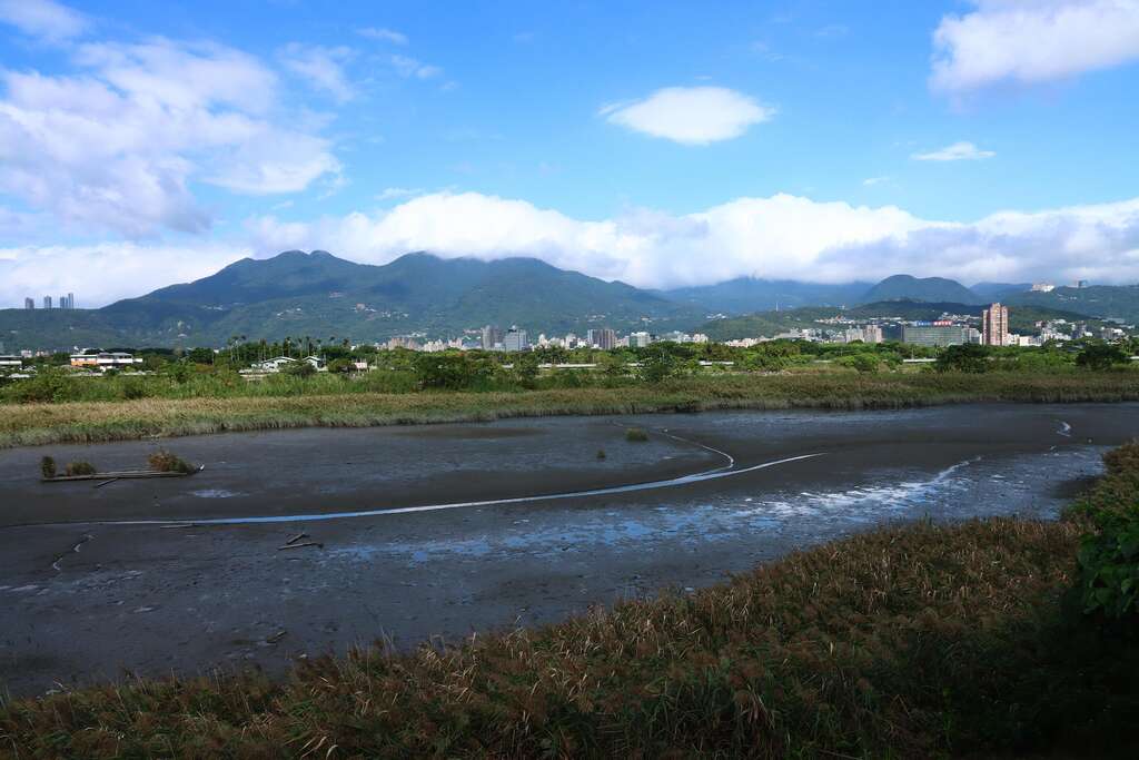 社子島濕地看大屯火山群