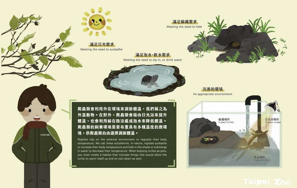爬虫类为外温动物，牠们没有体内调温机制，而是利用外在环境来调节体温