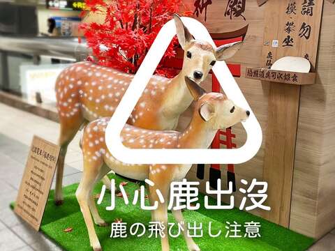 奈良小鹿裝置藝術