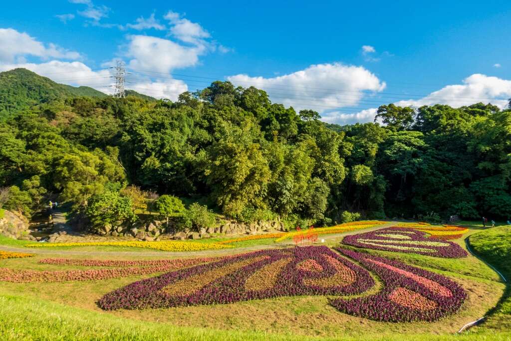 大沟溪花海利用自然地形营造花海