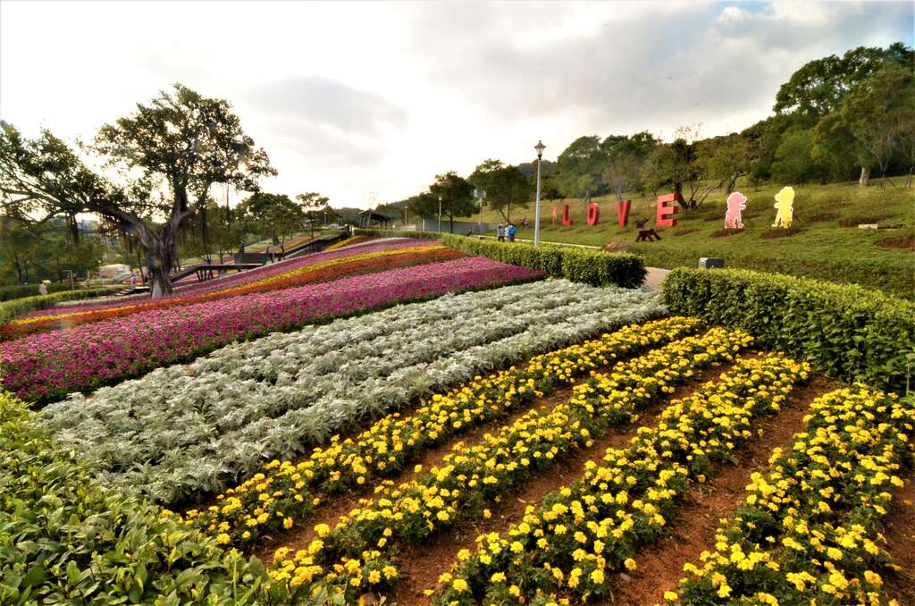 三層崎公園花海為「花IN台北」系列花展之一