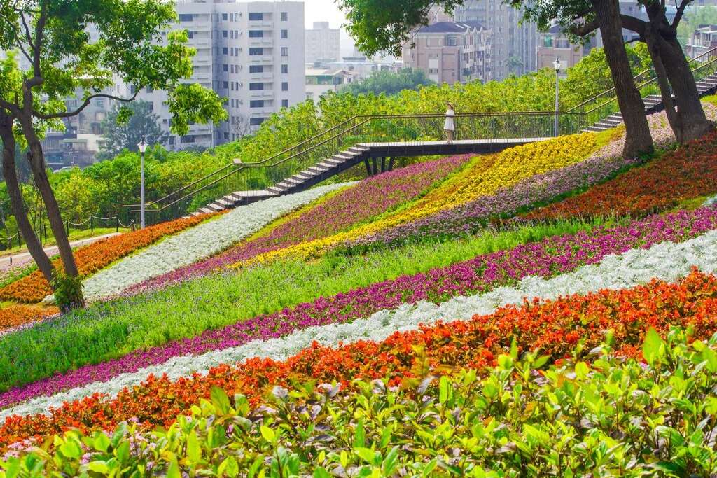 三層崎花海