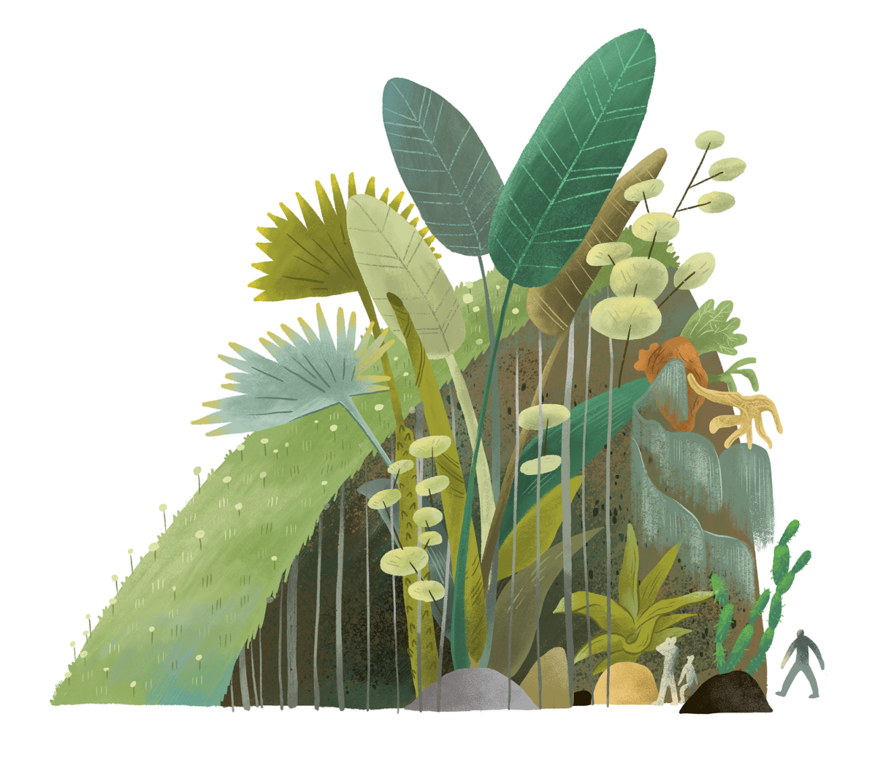 台北典藏植物园