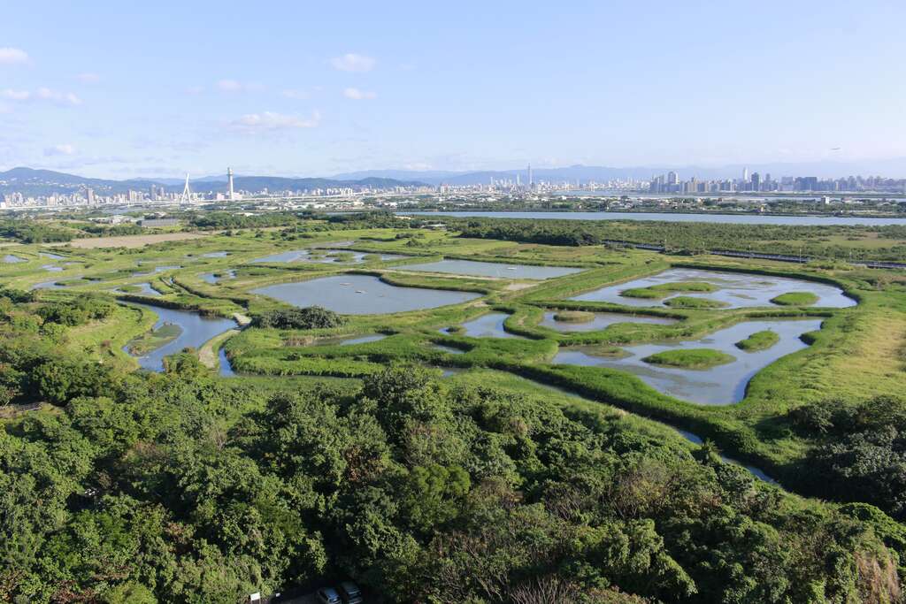關渡自然公園擁有豐富的生態與濕地環境,邀請民眾親近大自然。