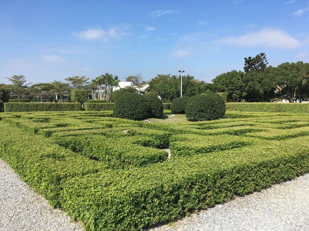 新生园区充满树兰清香的迷宫花园