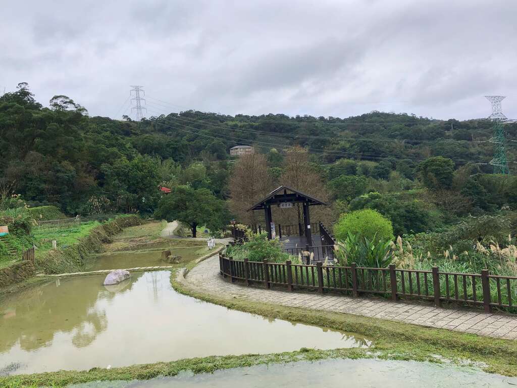 樟树步道水梯田