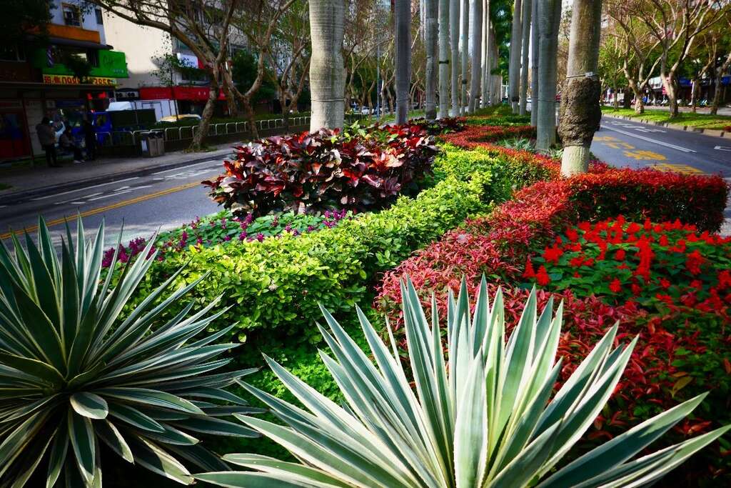 不同質感、色彩、高度植栽營造多重視覺效果