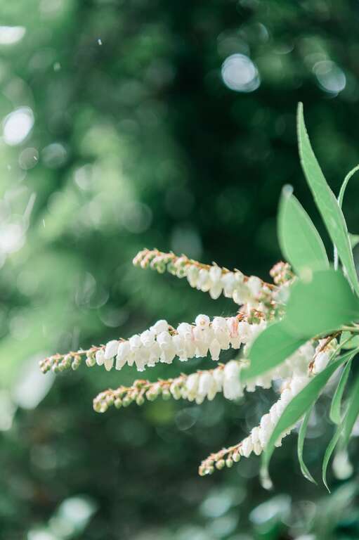 HJ2_4292