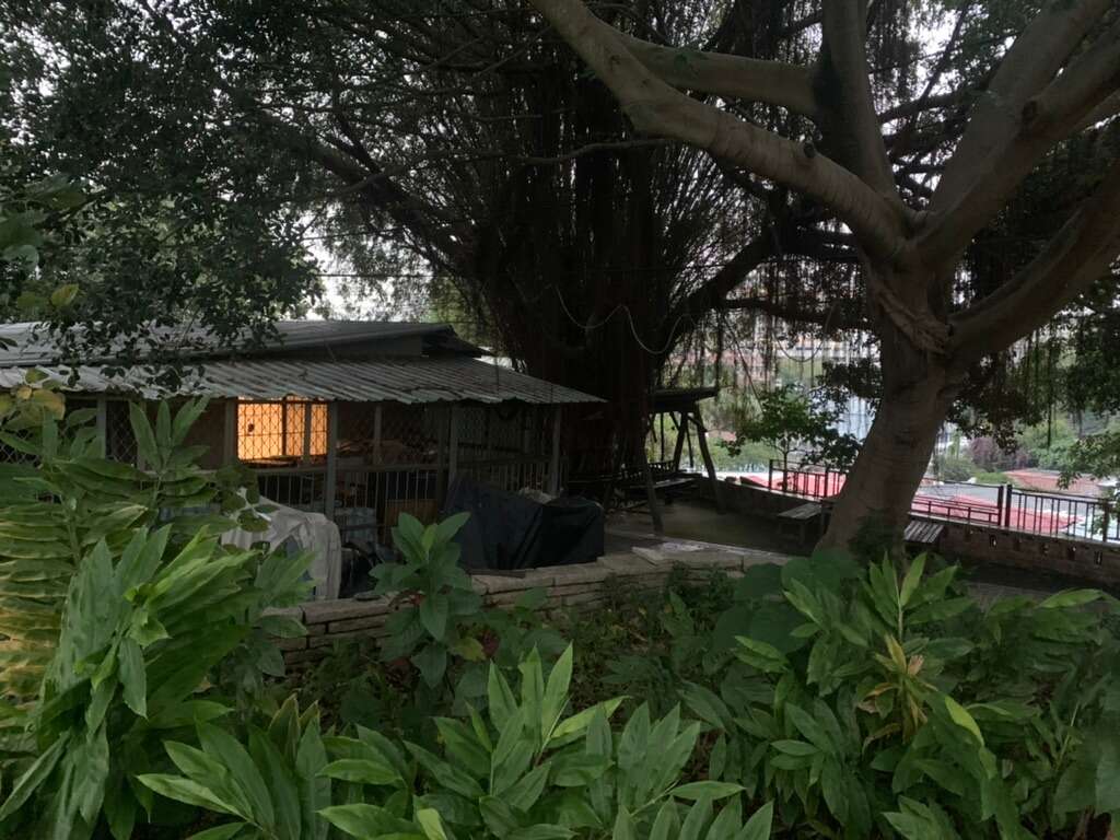 蟾蜍山聚落見證時代的更替，在繁華的城市中保留樸實的眷村建築和豐富的自然生態。