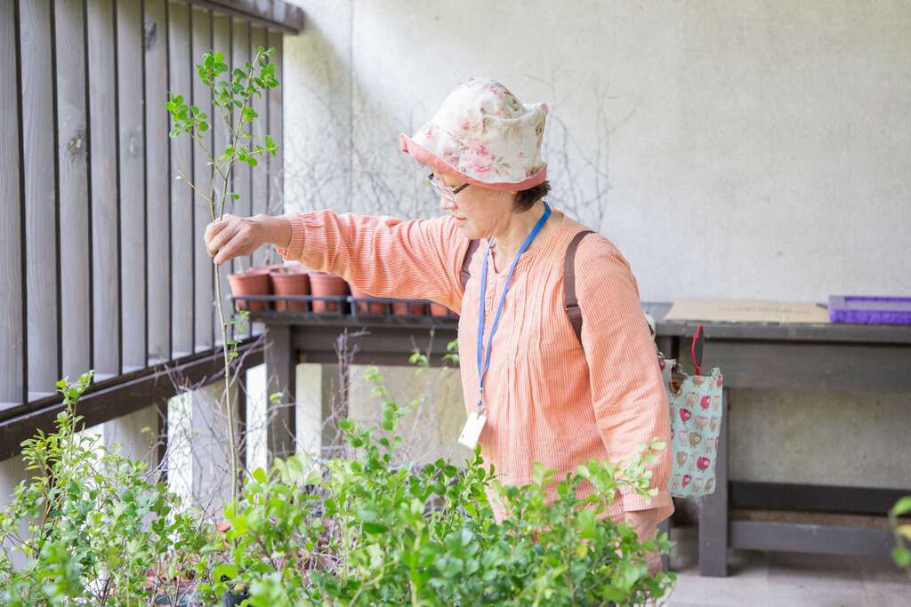 活动现场免费赠送树苗 欢迎自备环保袋领取 数量有限赠完为止
