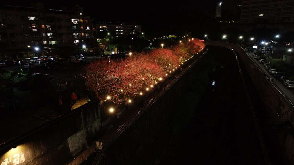 河岸旁的樱花步道