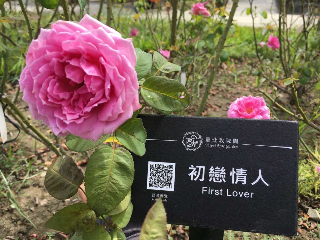 透過掃描插牌上QR碼，就能享有行動導覽的便利服務。