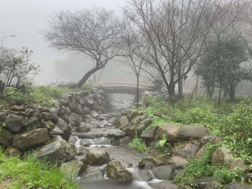 後山马槽溪支流云雾缭绕。
