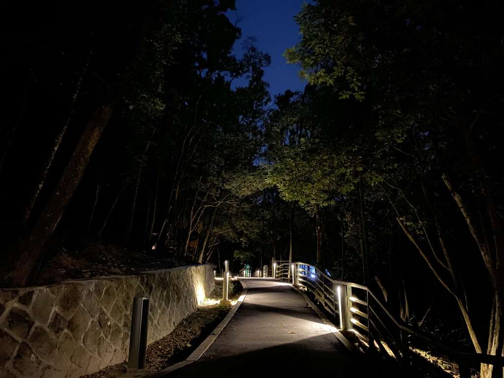 林間營位(夜間) 近距離體驗山的氣息