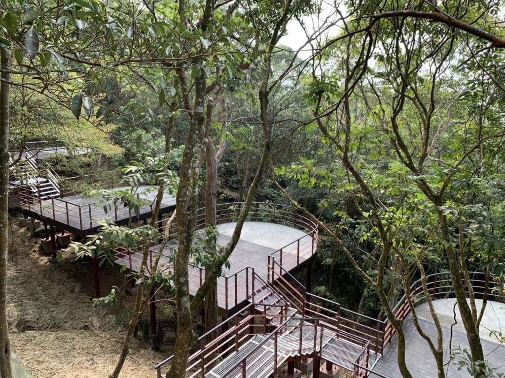 林間營位(白天) 近距離體驗山的氣息