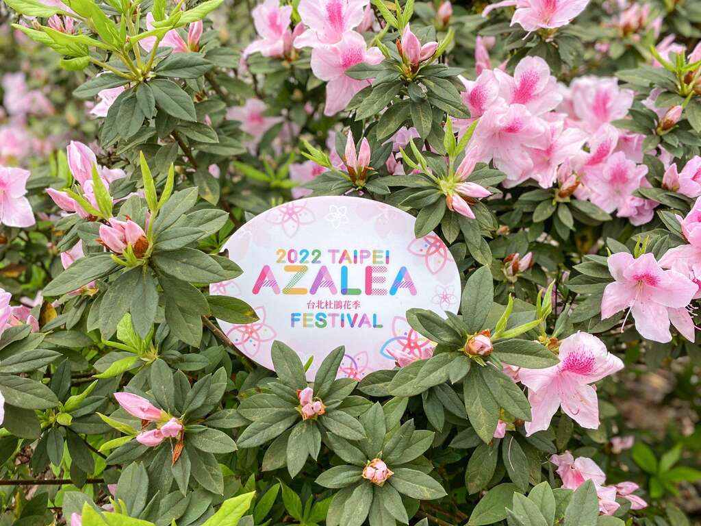 2022台北ツツジ祭りが華やかに開幕