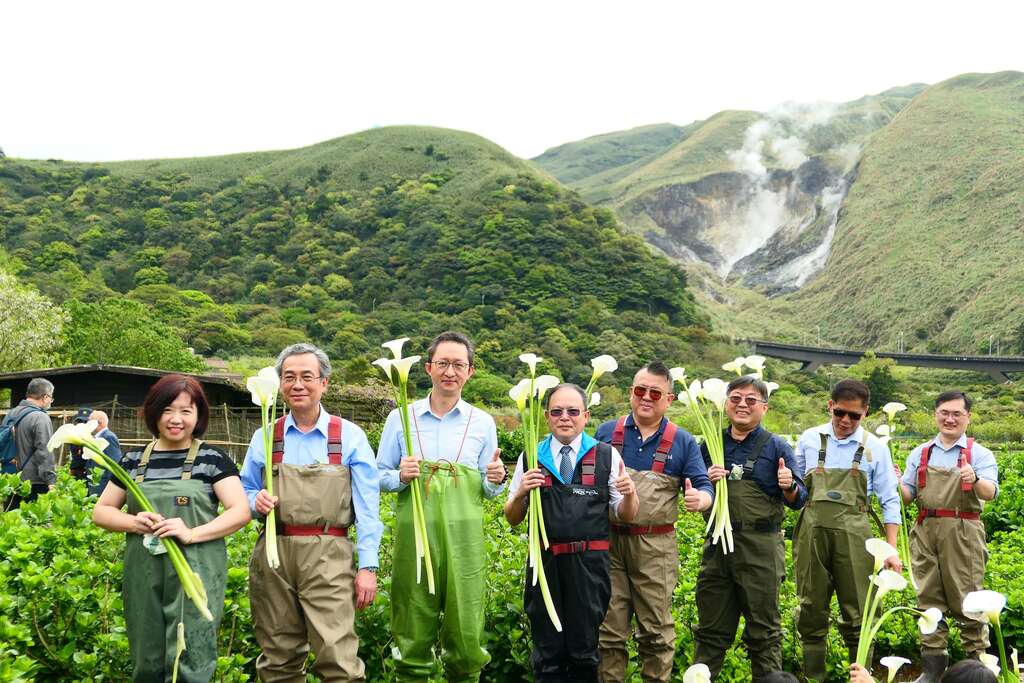 與會來賓穿著青蛙裝採海芋慶祝豐收