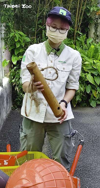 保育員根據不同物種的生態習性，提供多項「行為豐富化」設施
