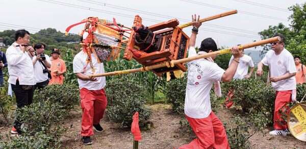 跟着「尪公」巡田园保佑平安