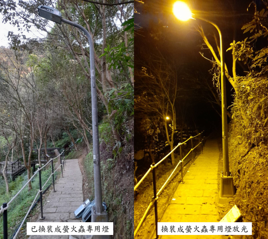 虎山步道螢火蟲生態區換裝成螢火蟲專用燈