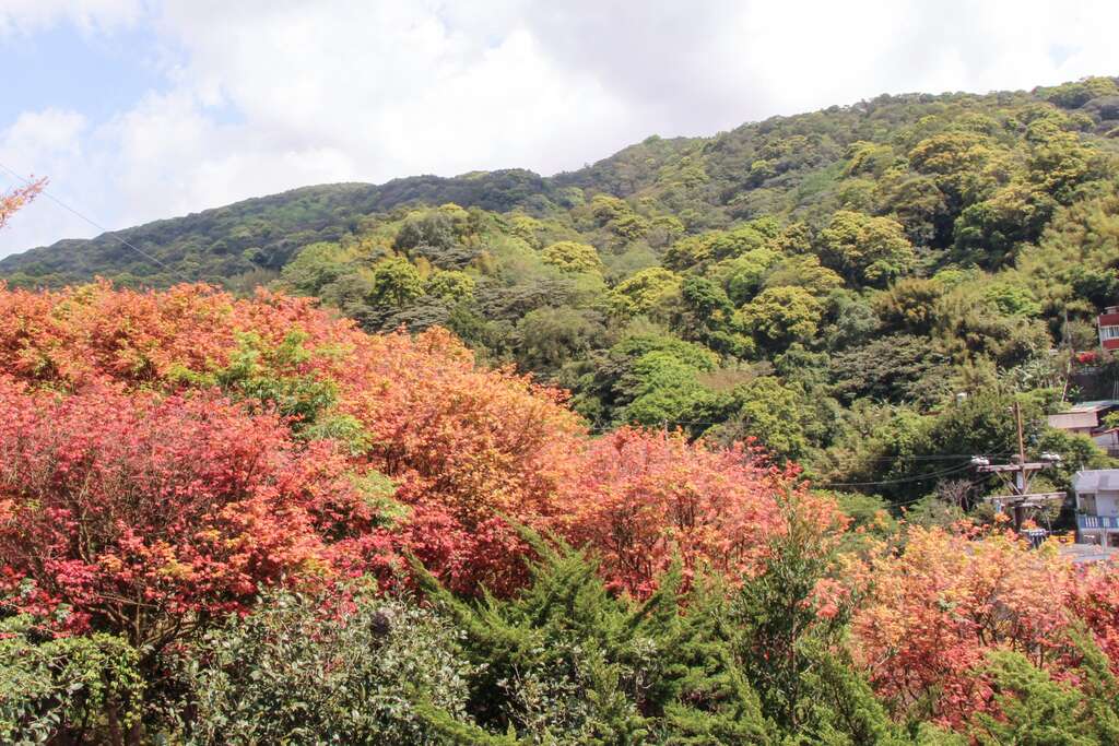 充滿紅色視覺饗宴